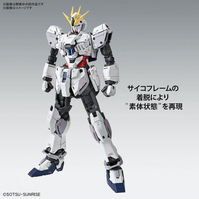 [BANDAI正品] MG 1/100 NT鋼彈 敘事鋼彈 故事鋼彈 C裝備 Ver.Ka 卡版-細節圖4