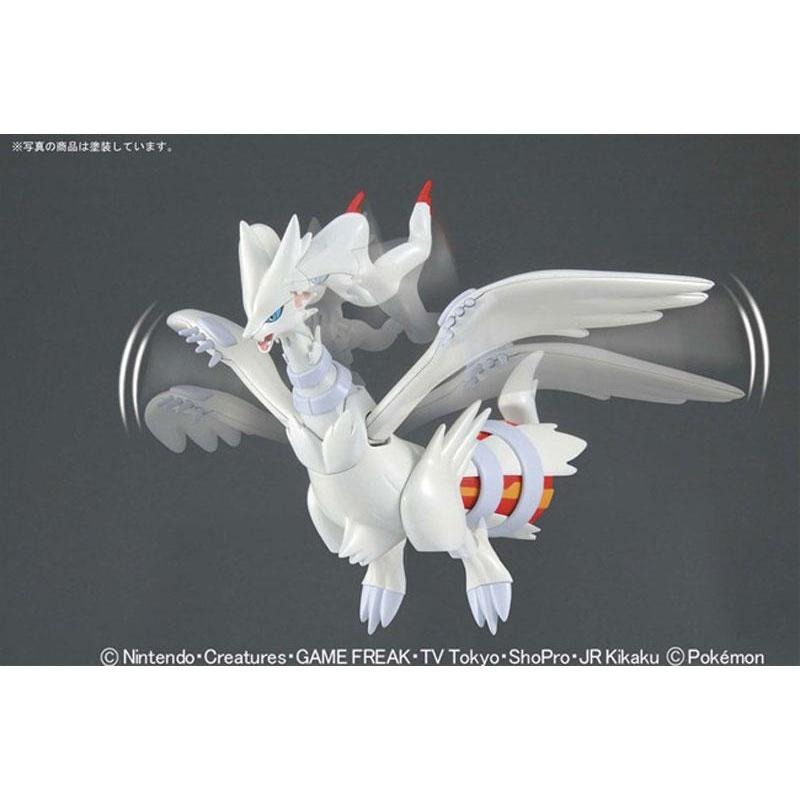 [BANDAI正品有銀標紙證] 寶可夢 13 雷希拉姆 Pokémon PLAMO 收藏集 神奇寶貝 模型收藏-細節圖4