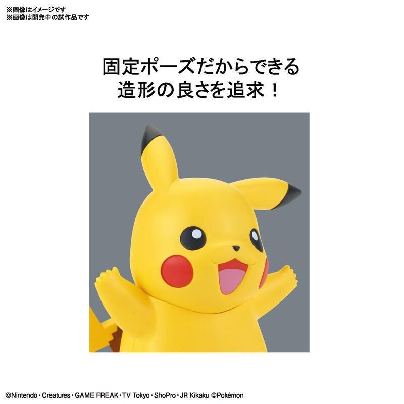 [BANDAI正品有銀標紙證] 寶可夢 快組版 01 皮卡丘 神奇寶貝 POKEPLA收藏集-細節圖6