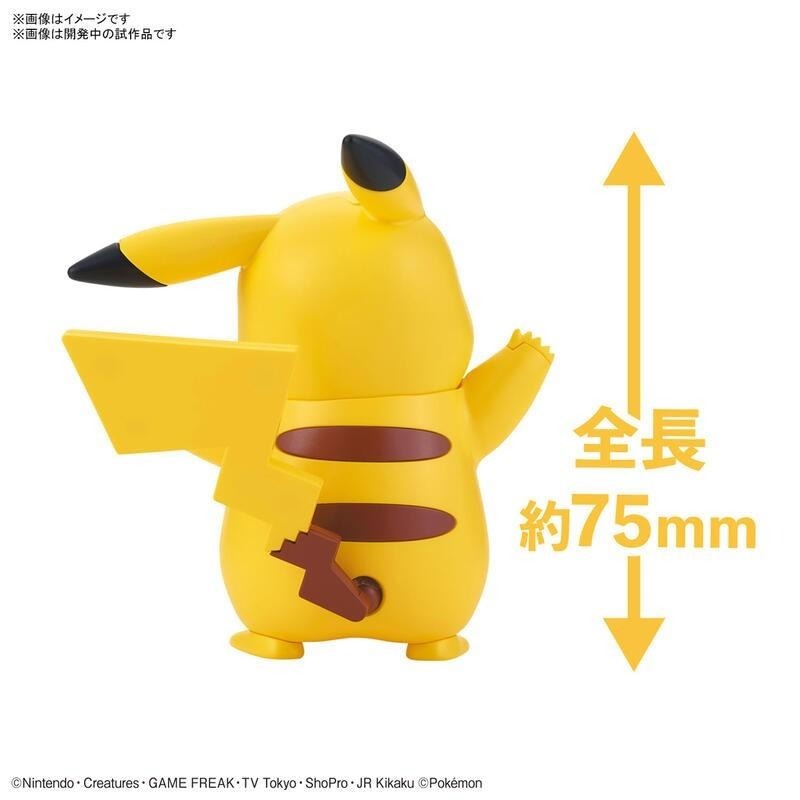 [BANDAI正品有銀標紙證] 寶可夢 快組版 01 皮卡丘 神奇寶貝 POKEPLA收藏集-細節圖3