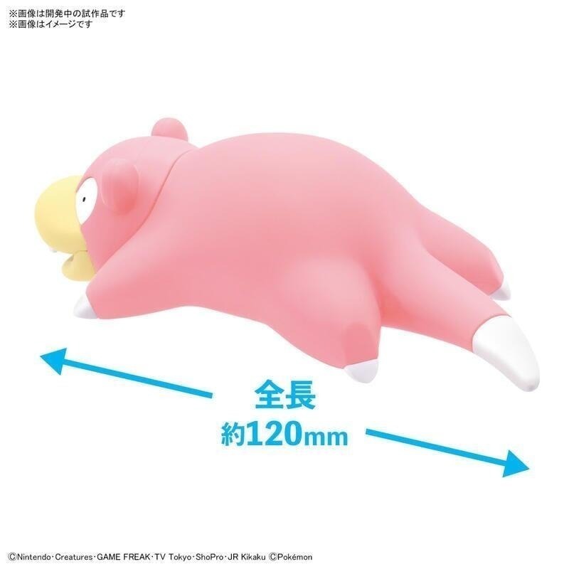 [BANDAI正品有銀標紙證] 寶可夢 快組版 15 呆呆獸 神奇寶貝 POKEPLA收藏集 模型收藏-細節圖3