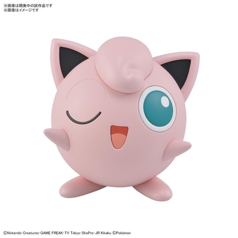 *不挑盒況*[BANDAI正品有銀標紙證] 寶可夢 快組版 09 胖丁 神奇寶貝 POKEPLA收藏集-細節圖2