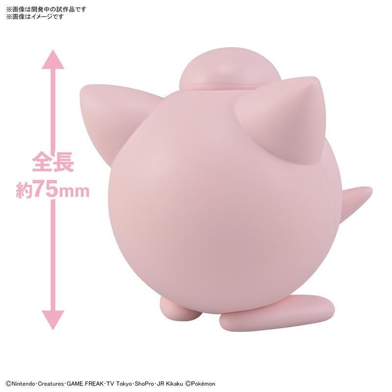*不挑盒況*[BANDAI正品有銀標紙證] 寶可夢 快組版 09 胖丁 神奇寶貝 POKEPLA收藏集-細節圖3