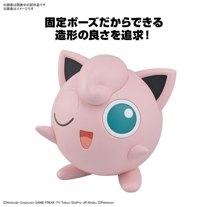 *不挑盒況*[BANDAI正品有銀標紙證] 寶可夢 快組版 09 胖丁 神奇寶貝 POKEPLA收藏集-細節圖4