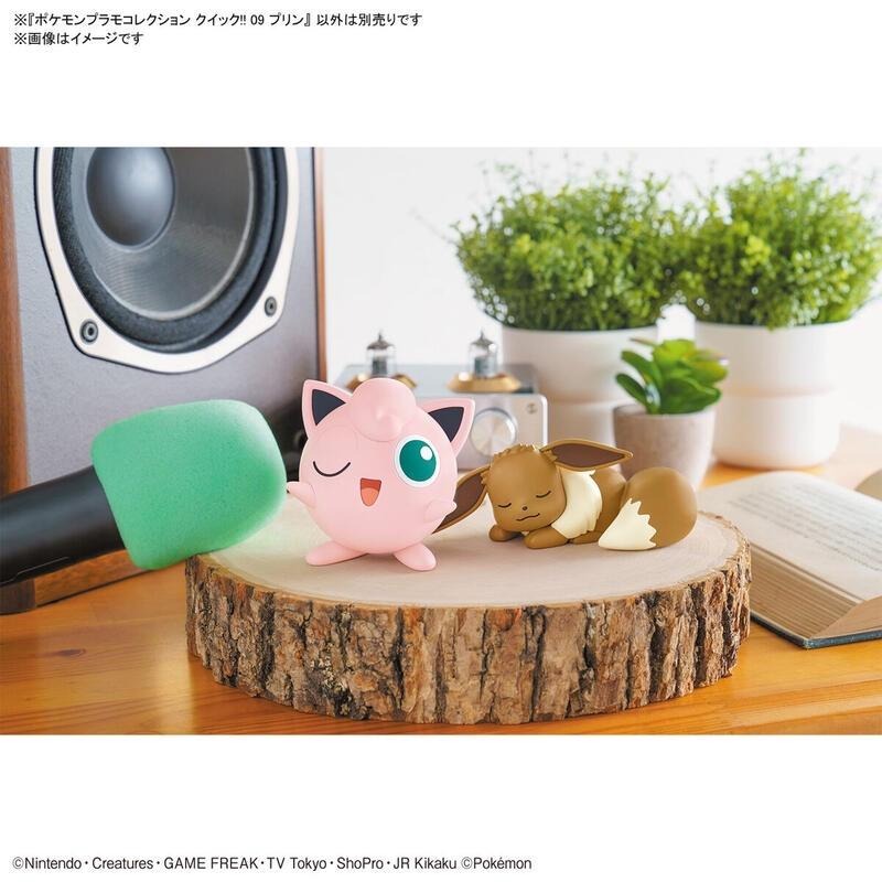 *不挑盒況*[BANDAI正品有銀標紙證] 寶可夢 快組版 09 胖丁 神奇寶貝 POKEPLA收藏集-細節圖9