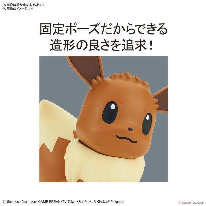 [BANDAI正品有銀標紙證] 寶可夢 快組版 04 伊布 神奇寶貝 POKEPLA收藏集-細節圖4