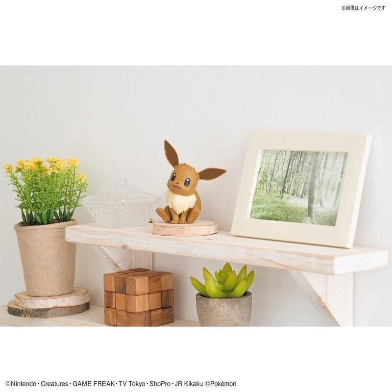 [BANDAI正品有銀標紙證] 寶可夢 快組版 04 伊布 神奇寶貝 POKEPLA收藏集-細節圖9