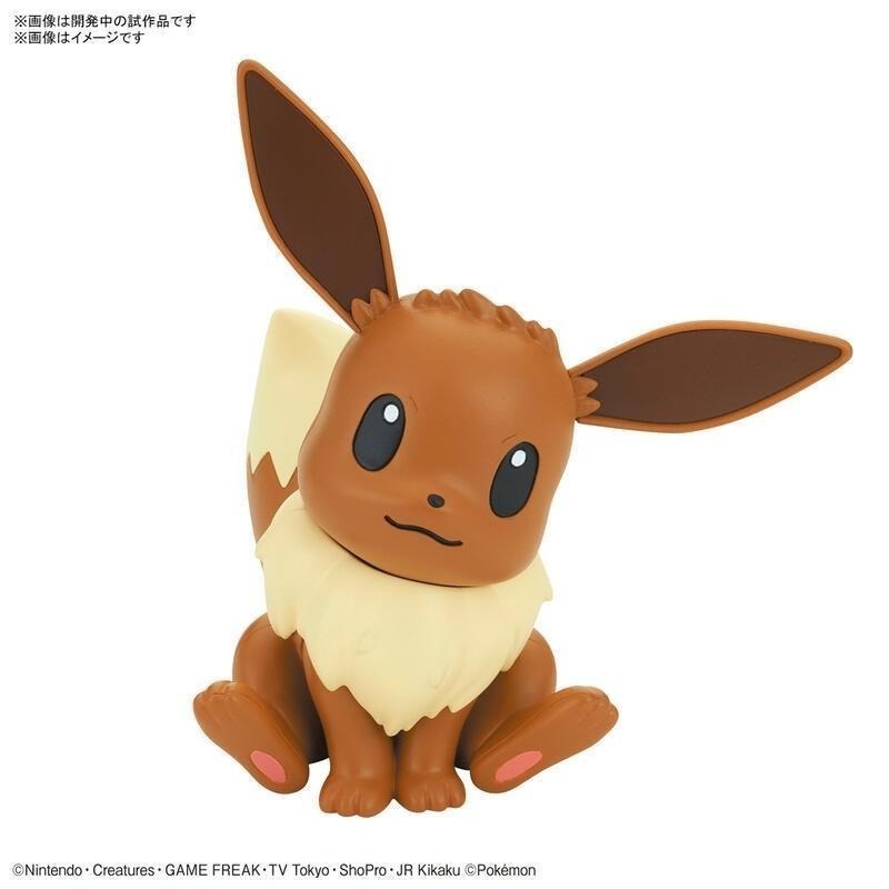 [BANDAI正品有銀標紙證] 寶可夢 快組版 04 伊布 神奇寶貝 POKEPLA收藏集-細節圖2