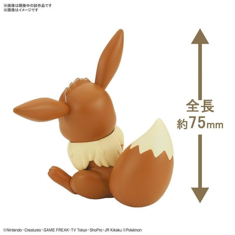 [BANDAI正品有銀標紙證] 寶可夢 快組版 04 伊布 神奇寶貝 POKEPLA收藏集-細節圖3