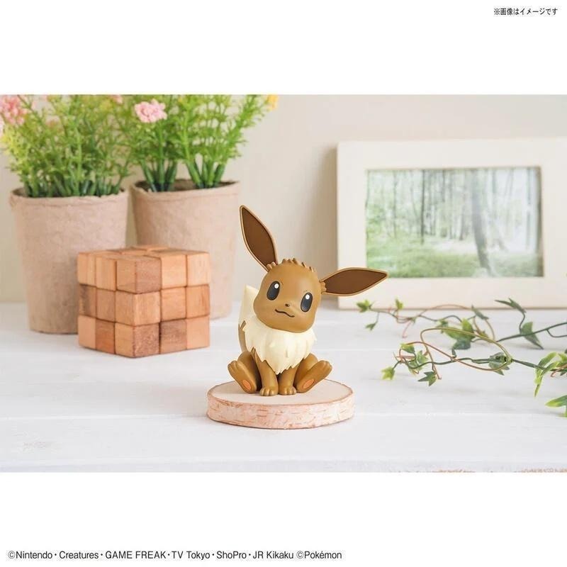 [BANDAI正品有銀標紙證] 寶可夢 快組版 04 伊布 神奇寶貝 POKEPLA收藏集-細節圖8