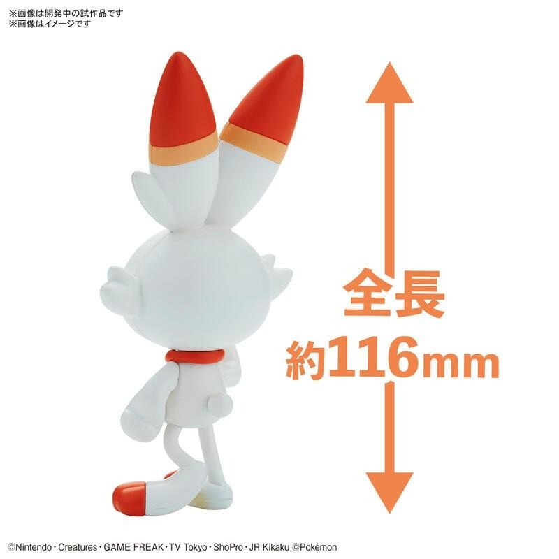 [BANDAI正品有銀標紙證] 寶可夢 快組版 05 炎兔兒 神奇寶貝 POKEPLA收藏集-細節圖3