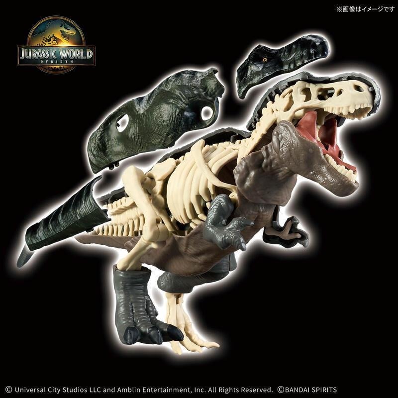 [BANDAI正品]恐龍組裝模型 侏羅紀世界 暴龍 JURASSIC WORLD PLANNOSAURUS-細節圖8