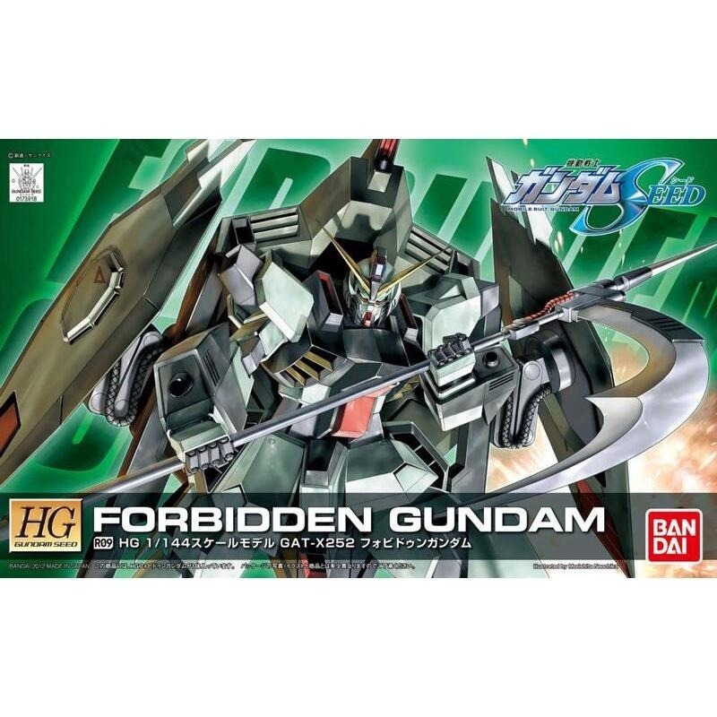 [BANDAI正品] SEED R09 HG 1/144 禁斷鋼彈 FORBIDDEN GUNDAM-細節圖8