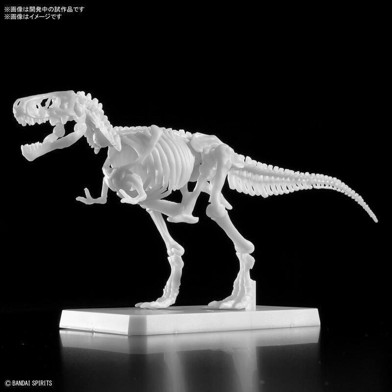 [BANDAI正品]新恐龍組裝模型  暴龍 Tyrannosaurus 繪畫版 自由塗裝版Ver.-細節圖3
