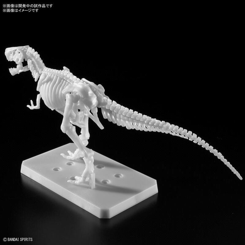 [BANDAI正品]新恐龍組裝模型  暴龍 Tyrannosaurus 繪畫版 自由塗裝版Ver.-細節圖5