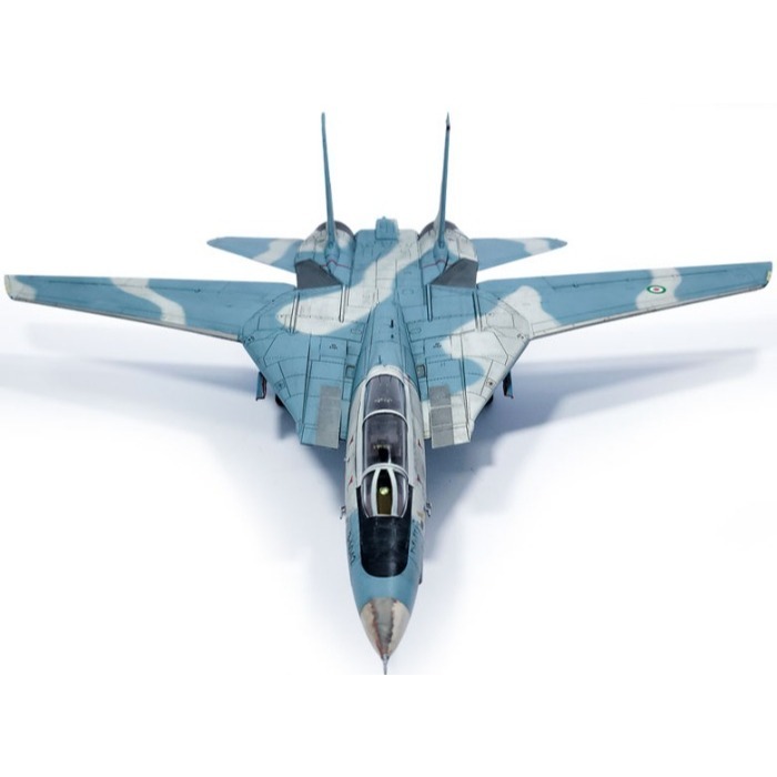 ACADEMY 愛德美 1/72 雄貓式戰鬥機 F-14A IRIAF 伊朗空軍-細節圖6