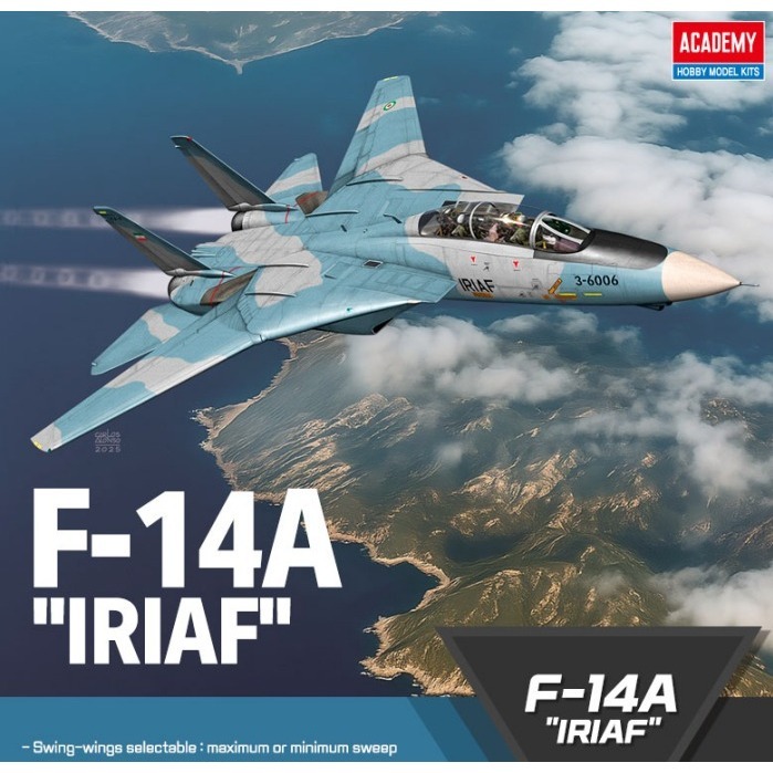 ACADEMY 愛德美 1/72 雄貓式戰鬥機 F-14A IRIAF 伊朗空軍-細節圖10