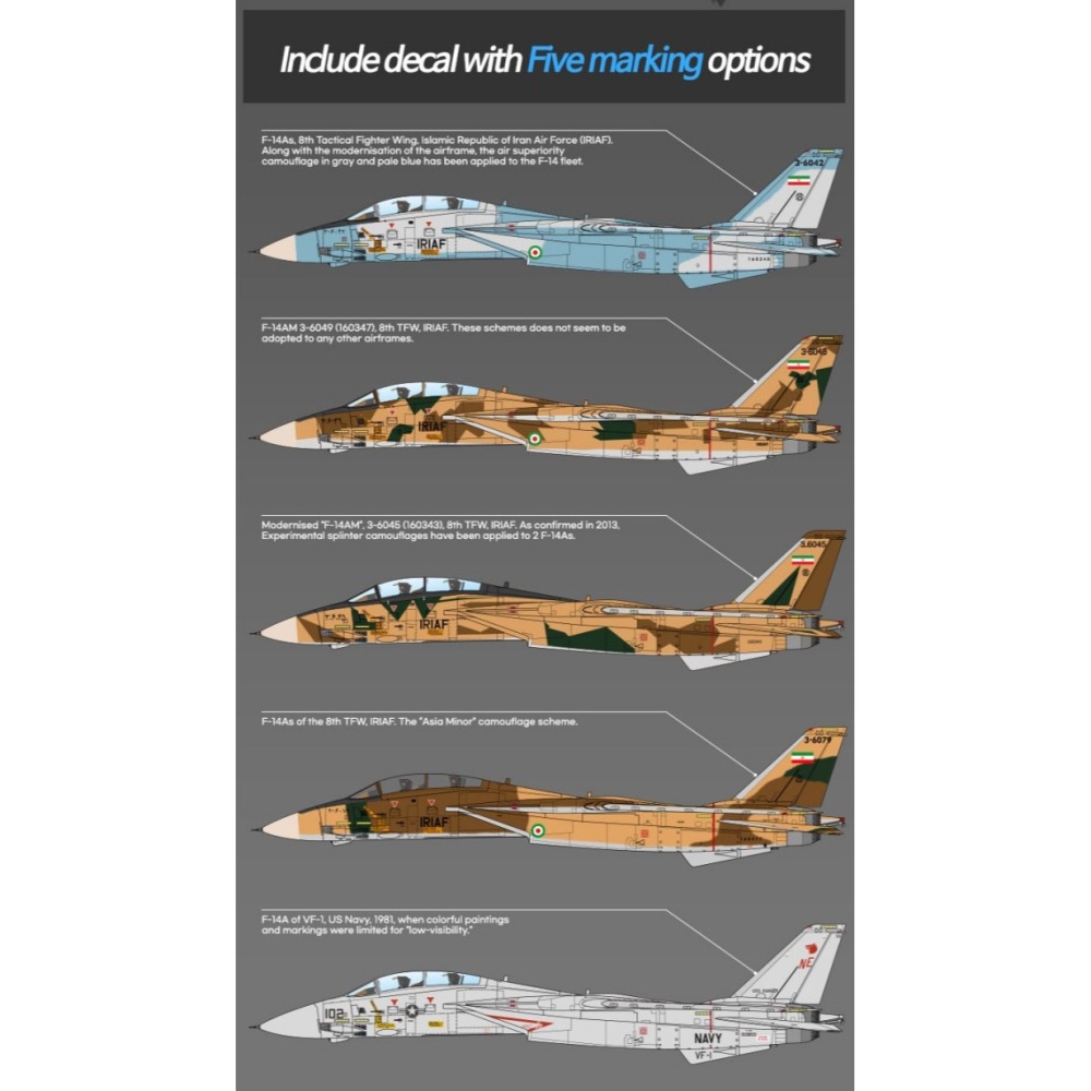 ACADEMY 愛德美 1/72 雄貓式戰鬥機 F-14A IRIAF 伊朗空軍-細節圖11