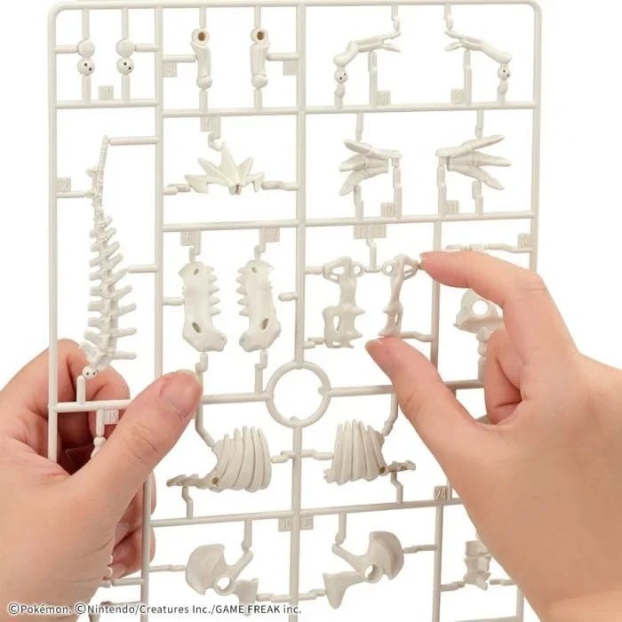 [BANDAI正品有銀標紙證] 寶可夢 化石寶可夢系列 化石翼龍 神奇寶貝 POKEPLA收藏集 模型收藏-細節圖6