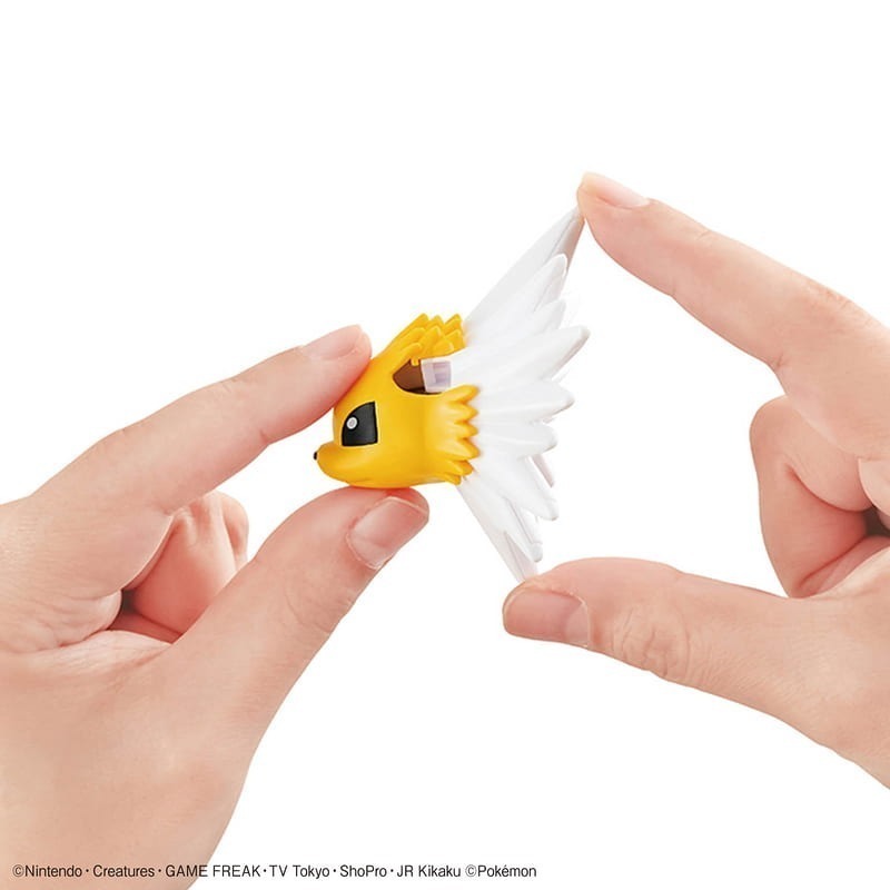 [BANDAI正品有銀標紙證] 寶可夢 快組版 26 雷伊布 伊布家族 神奇寶貝 POKEPLA收藏集 模型收藏-細節圖6