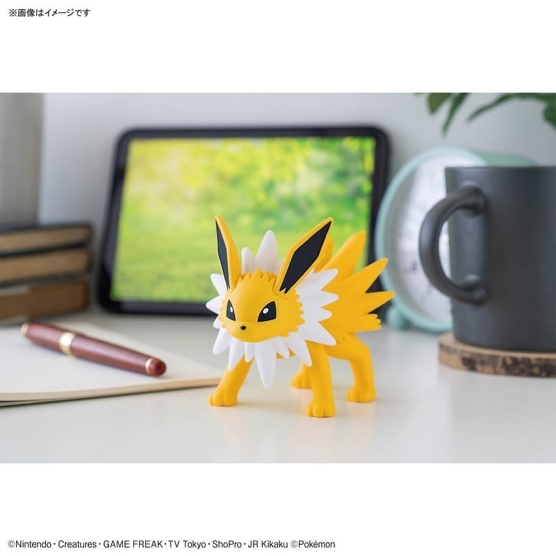[BANDAI正品有銀標紙證] 寶可夢 快組版 26 雷伊布 伊布家族 神奇寶貝 POKEPLA收藏集 模型收藏-細節圖7