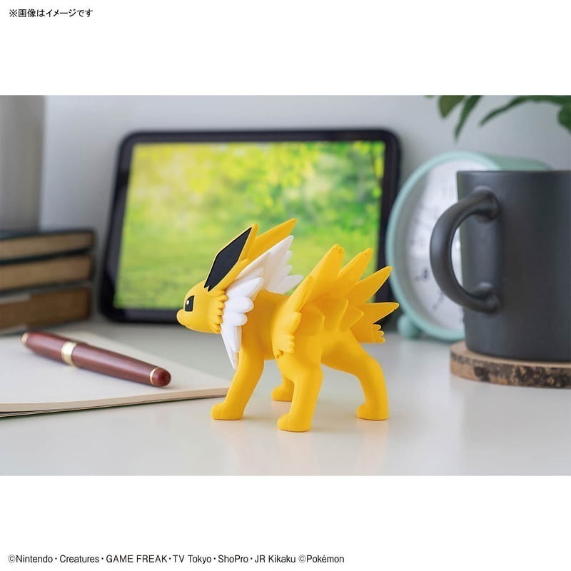 [BANDAI正品有銀標紙證] 寶可夢 快組版 26 雷伊布 伊布家族 神奇寶貝 POKEPLA收藏集 模型收藏-細節圖8