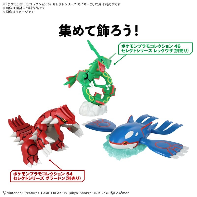 [BANDAI正品有銀標紙證]寶可夢 62 神獸 蓋歐卡 Pokémon PLAMO 收藏集 神奇寶貝 組裝模型-細節圖4
