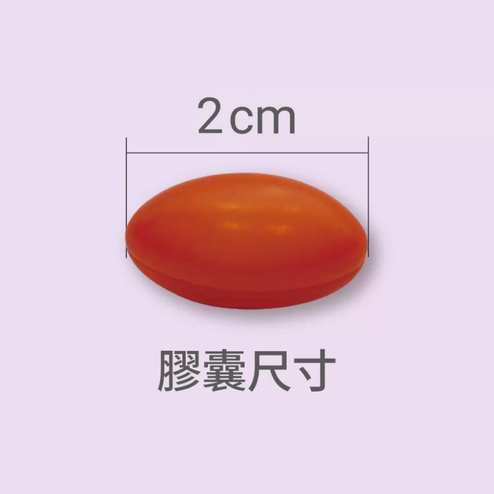 🔥快速出貨🔥好市多商品代購🔥澳佳寶 機伶小子濃縮魚油膠囊食品 120粒-細節圖3