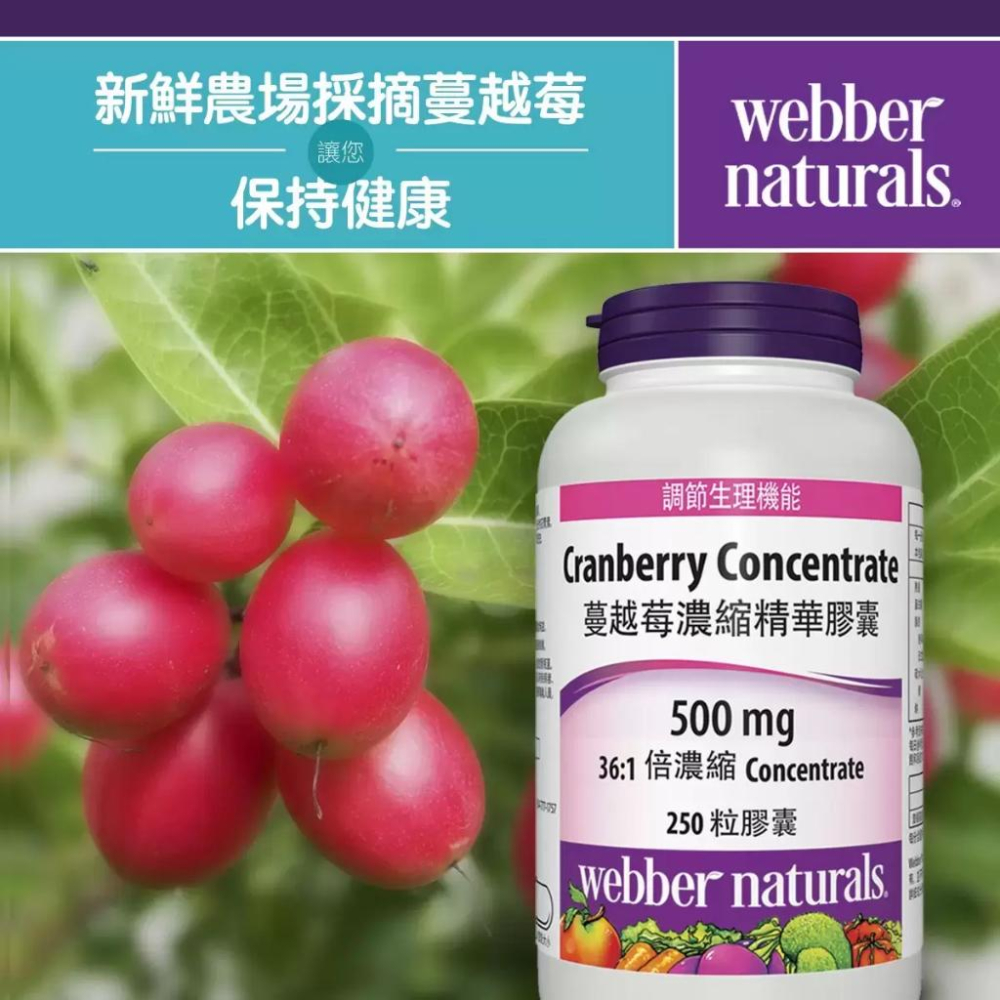 🔥快速出貨🔥好市多商品代購🔥Webber Naturals 蔓越莓濃縮精華膠囊 250粒-細節圖3