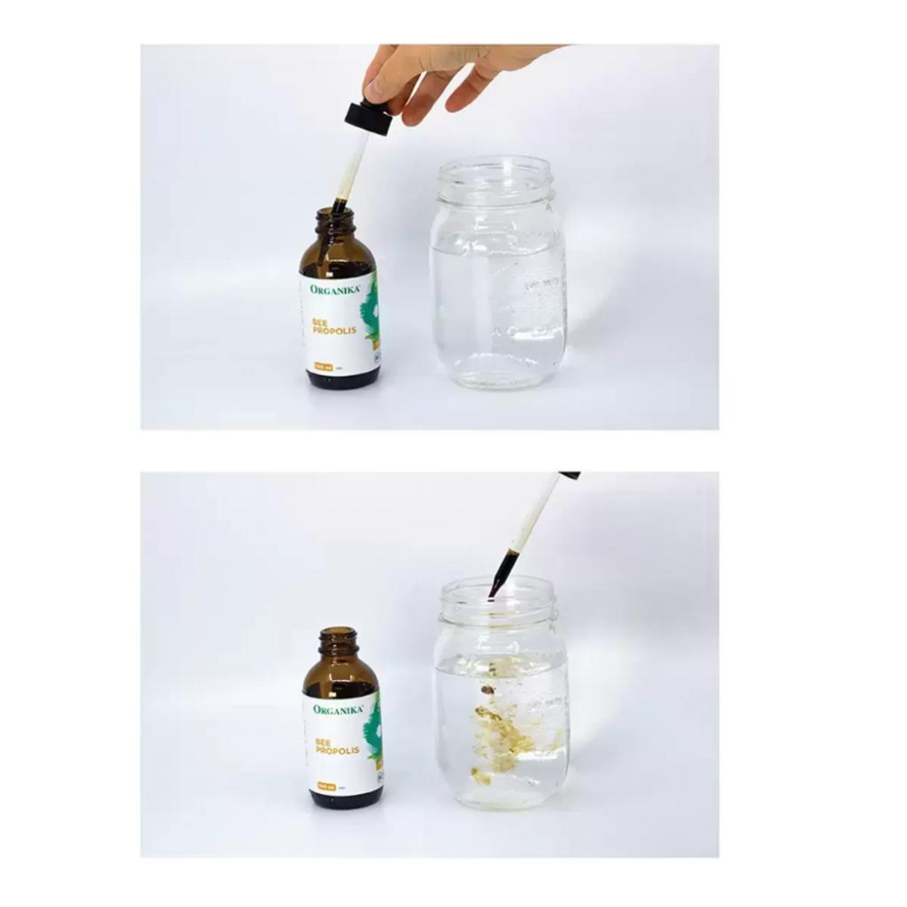 🔥快速出貨🔥好市多商品代購🔥 Organika 蜂膠液 100毫升 加拿大進口 無添加酒精 Costco代購 好事多代購-細節圖3