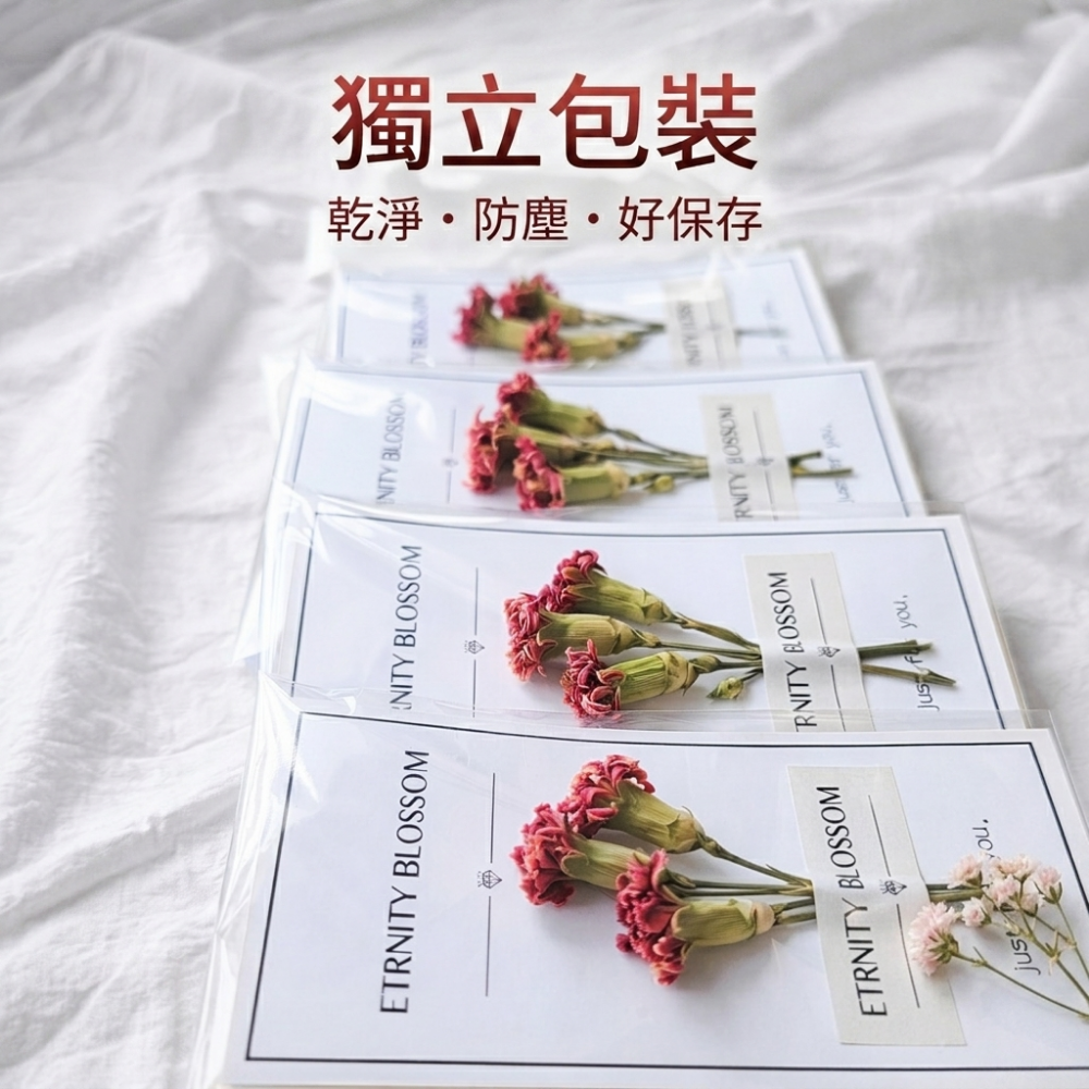 💥快速出貨💥 康乃馨乾燥花卡片｜母親節卡片｜永生花卡片｜情人節送禮｜手作卡片｜附OPP袋包裝｜生日祝福卡片 乾花卡-細節圖9
