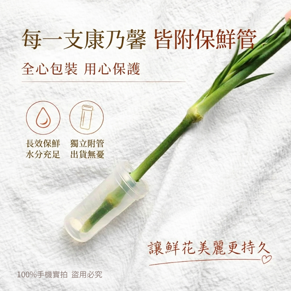 💥母親節康乃馨💥 新鮮直送💥 台灣出貨 台灣現貨 單支花材｜送媽媽首選｜鮮花宅配｜限量供應｜插花 | 新鮮康乃馨-細節圖3