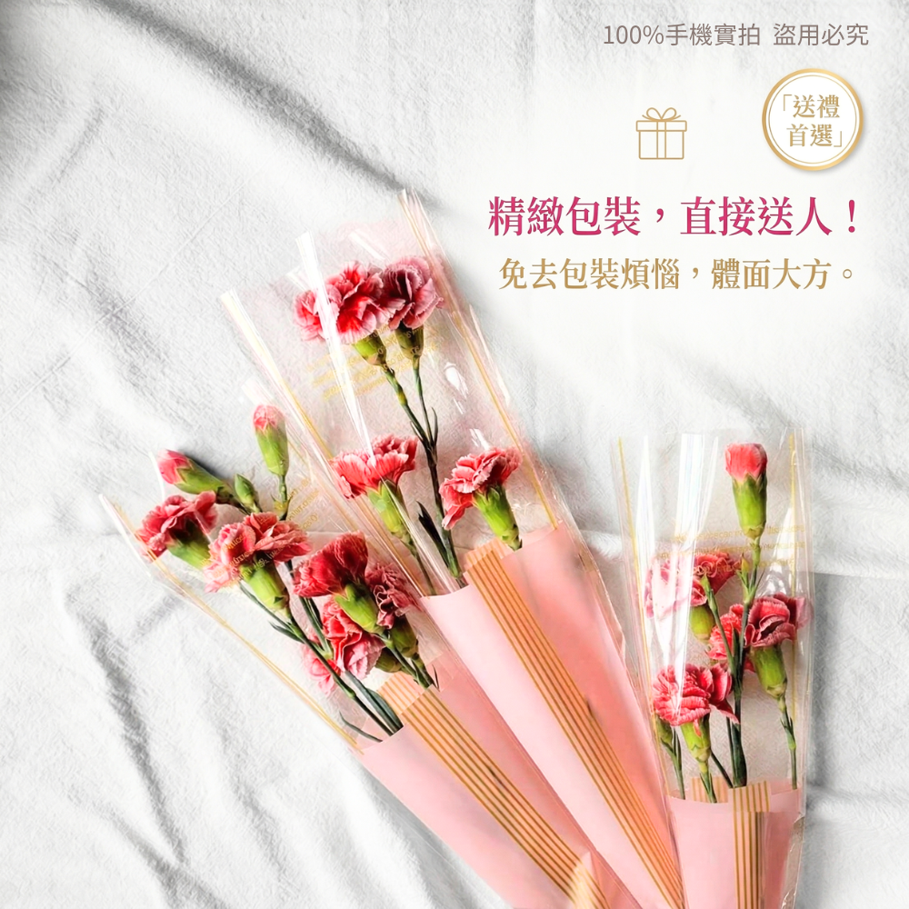 💥母親節康乃馨💥 新鮮直送💥 台灣出貨 台灣現貨 單支花材｜送媽媽首選｜鮮花宅配｜限量供應｜插花 | 新鮮康乃馨-細節圖5