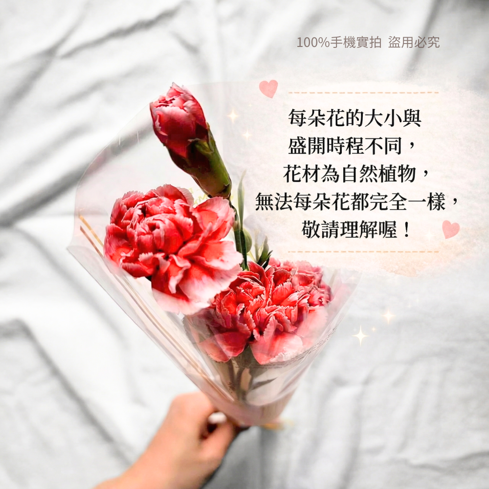 💥母親節康乃馨💥 新鮮直送💥 台灣出貨 台灣現貨 單支花材｜送媽媽首選｜鮮花宅配｜限量供應｜插花 | 新鮮康乃馨-細節圖7
