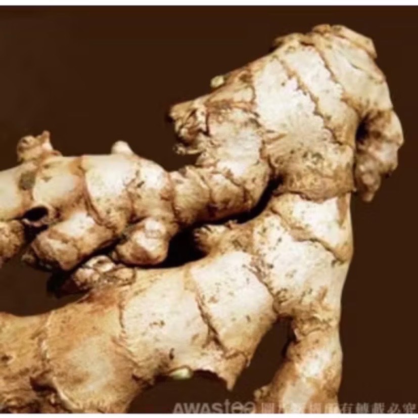 【華易購】 🌱阿華師茶業🌟阿里山老薑茶飲禮盒組（24入/盒）-細節圖2