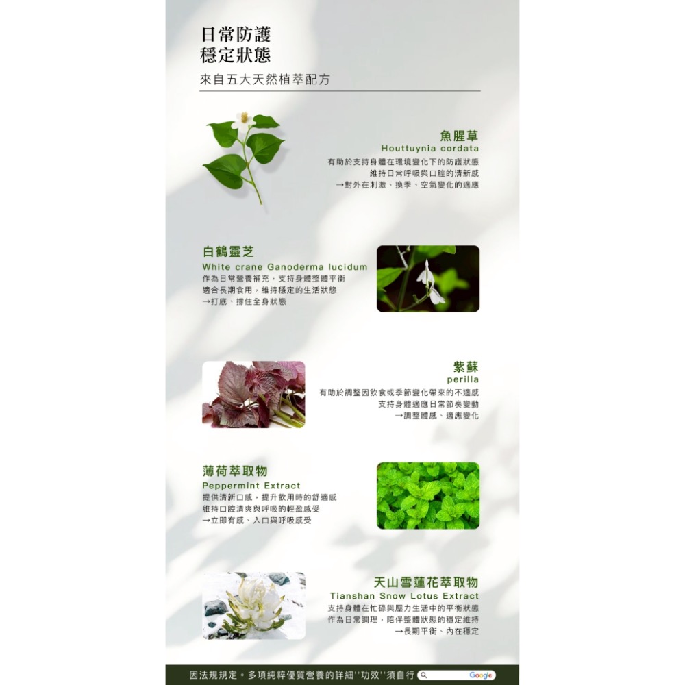 【華易購】 Qiji✨ 完美BoFi（15入/盒）-細節圖4
