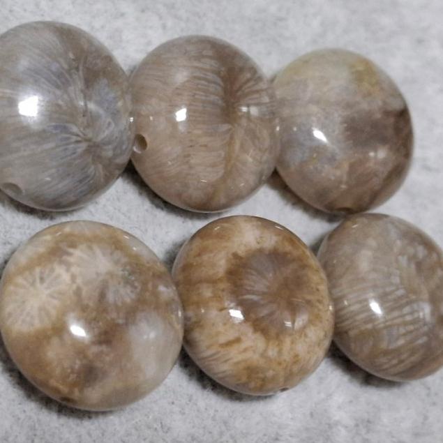 【三寶坊】珊瑚玉 圓餅 精品料 通孔小件 雕刻件 手作DIY材料 水晶 串珠 配件 吊墜-細節圖2