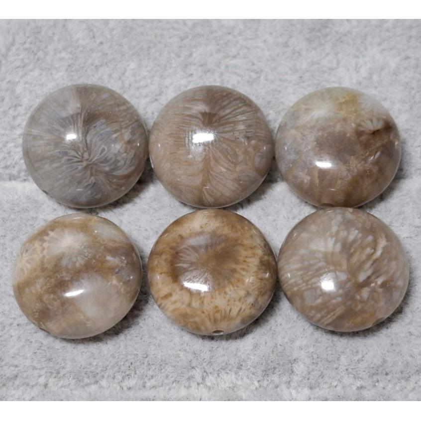 【三寶坊】珊瑚玉 圓餅 精品料 通孔小件 雕刻件 手作DIY材料 水晶 串珠 配件 吊墜-細節圖3