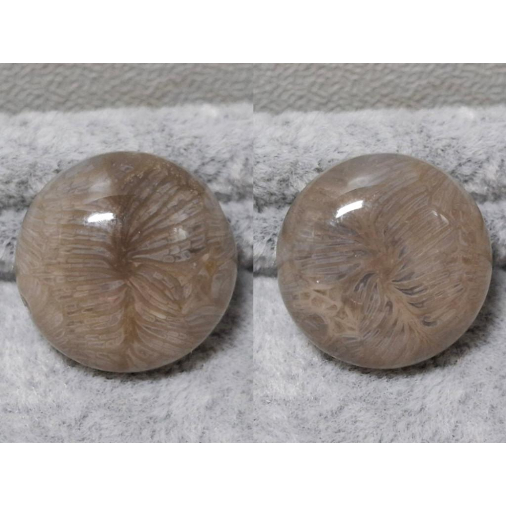 【三寶坊】珊瑚玉 圓餅 精品料 通孔小件 雕刻件 手作DIY材料 水晶 串珠 配件 吊墜-細節圖5