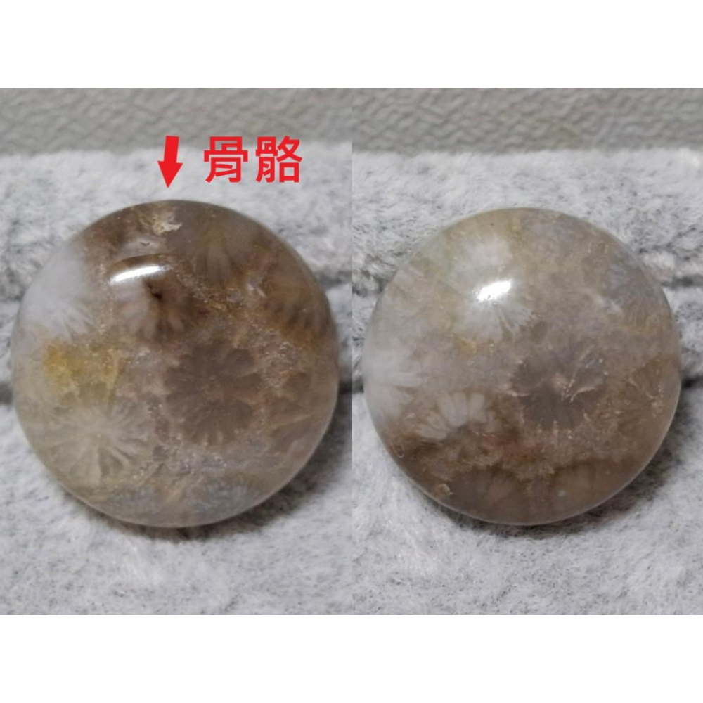 【三寶坊】珊瑚玉 圓餅 精品料 通孔小件 雕刻件 手作DIY材料 水晶 串珠 配件 吊墜-細節圖6