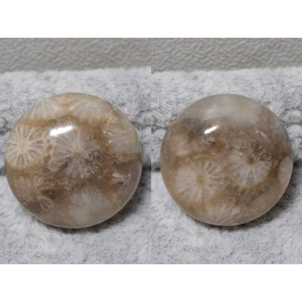 【三寶坊】珊瑚玉 圓餅 精品料 通孔小件 雕刻件 手作DIY材料 水晶 串珠 配件 吊墜-細節圖7