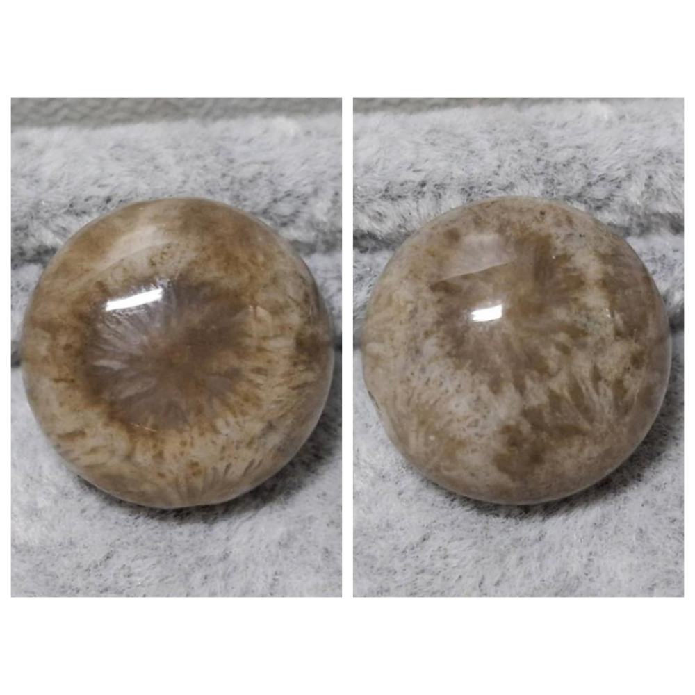 【三寶坊】珊瑚玉 圓餅 精品料 通孔小件 雕刻件 手作DIY材料 水晶 串珠 配件 吊墜-細節圖8