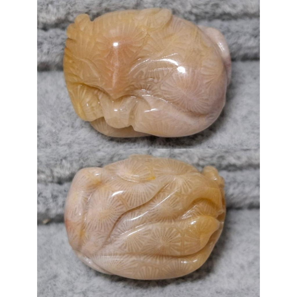 【三寶坊】珊瑚玉 睡狐 萌寵 精品料 通孔小件 雕刻件 手作DIY材料 水晶 串珠 配件 吊墜-細節圖5