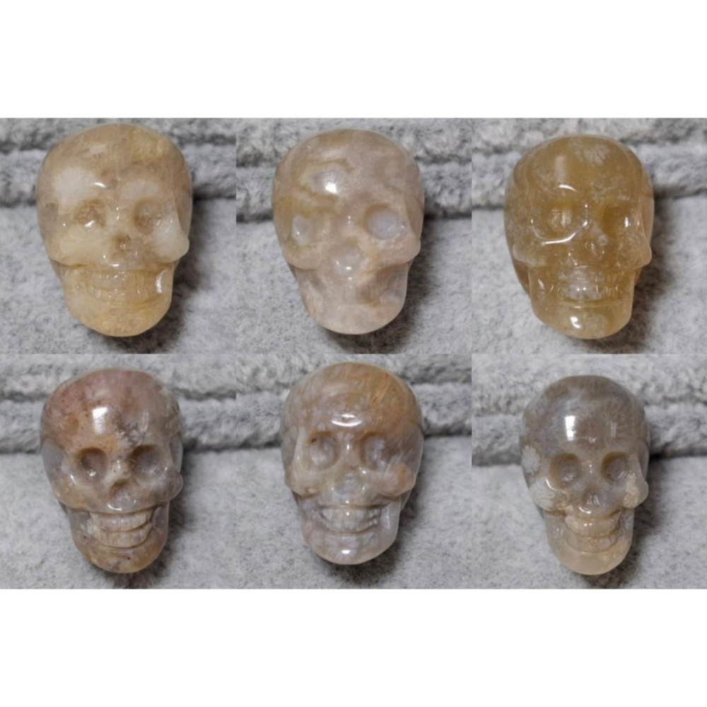 【三寶坊】珊瑚玉 骷髏頭 萌寵 精品料 通孔小件 雕刻件 手作DIY材料 水晶 串珠 配件 吊墜-細節圖4