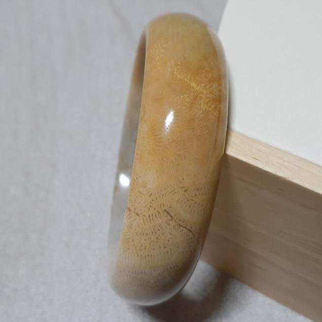 【三寶坊】天然珊瑚玉手鐲 59圈口 羽毛藻 黃灰 平安鐲 手鐲大圈口 N262-細節圖3