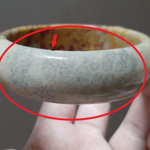 【三寶坊】天然珊瑚玉手鐲 60圈口 蟲紋 半壁黃帶彩 平安鐲 手鐲大圈口 N166-細節圖6