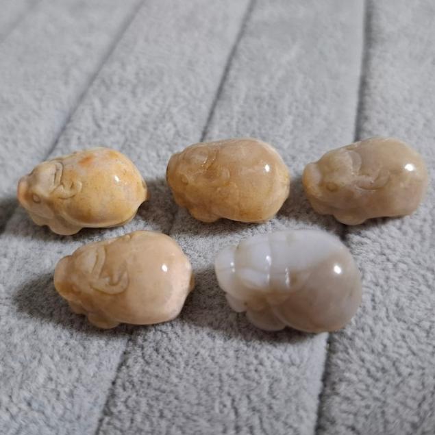 【三寶坊】珊瑚玉 龍龜 兔子 龜背 通孔小件 雕刻件 手作DIY材料 (隨機出貨)-細節圖2