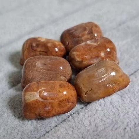 【三寶坊】珊瑚玉 龍龜 兔子 龜背 通孔小件 雕刻件 手作DIY材料 (隨機出貨)-細節圖3