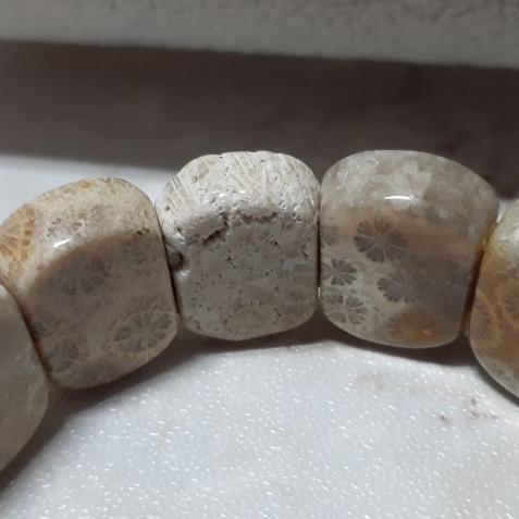 【三寶坊】天然珊瑚玉手排 骨骼特色系列 珊瑚玉手牌 珊瑚玉手鍊 Y31-Y34-細節圖6