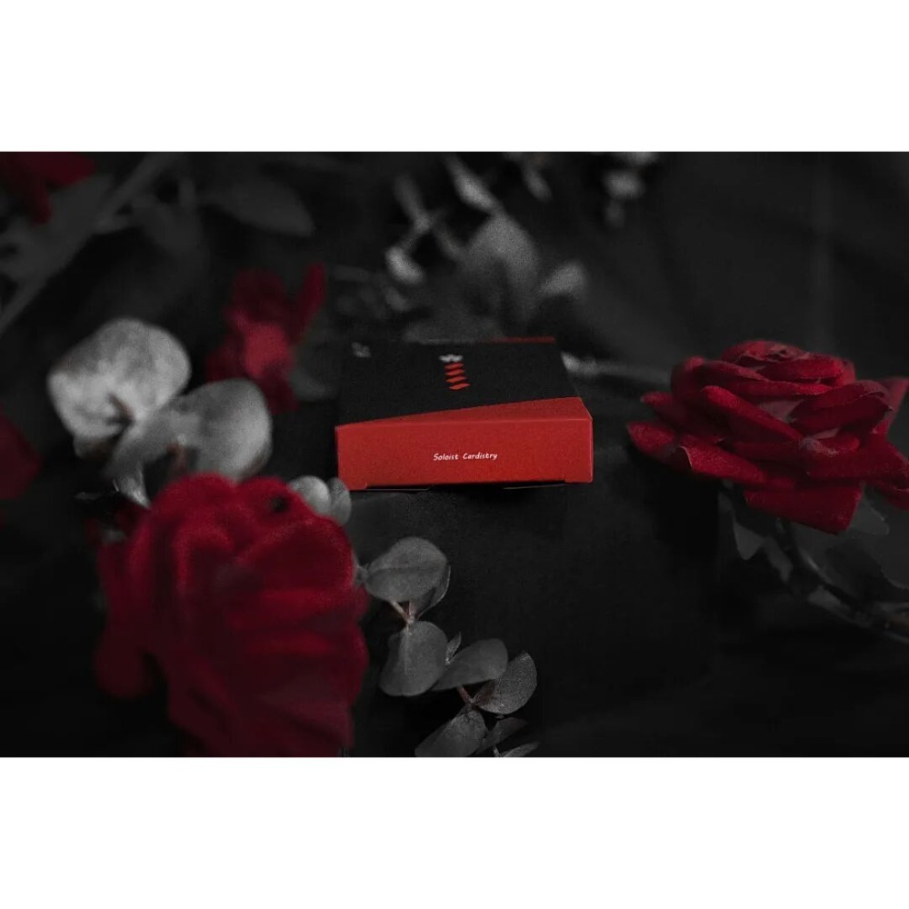 【千葉撲克】現貨 獨奏者 撲克牌 花切撲克牌 收藏牌 魔術道具 紙牌魔術 紙牌 瑜慈練習牌 花切專用牌-細節圖3